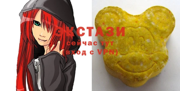 МДПВ Новозыбков