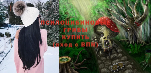 ПСИЛОЦИБИНОВЫЕ ГРИБЫ Новодвинск