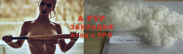 ПСИЛОЦИБИНОВЫЕ ГРИБЫ Новодвинск