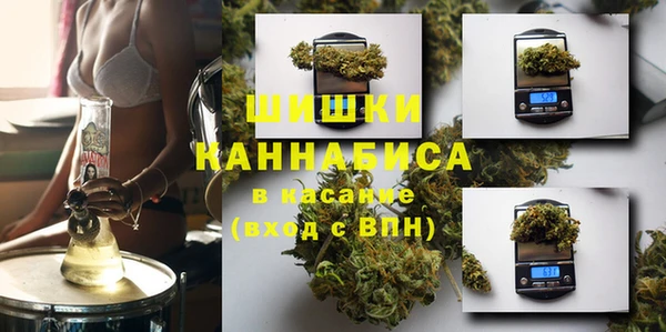 МДПВ Новозыбков