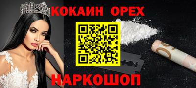 стаф Кингисепп