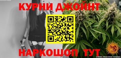 стаф Кингисепп