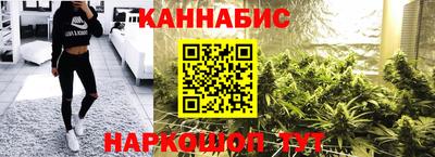 стаф Кингисепп