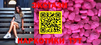 стаф Кингисепп