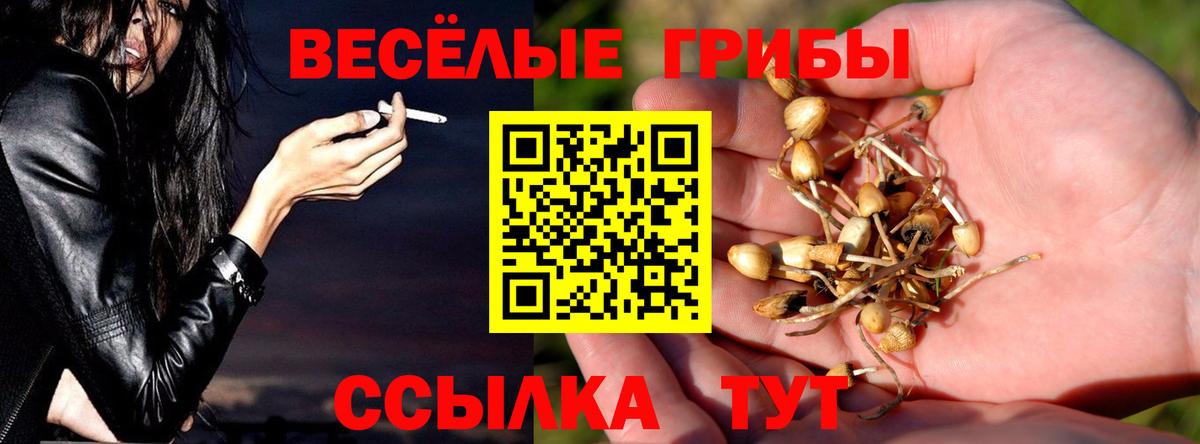 где найти наркотики  Вход с VPN  Галлюциногенные грибы Magic Shrooms  Омск  Псилоцибиновые грибы MAGIC MUSHROOMS 