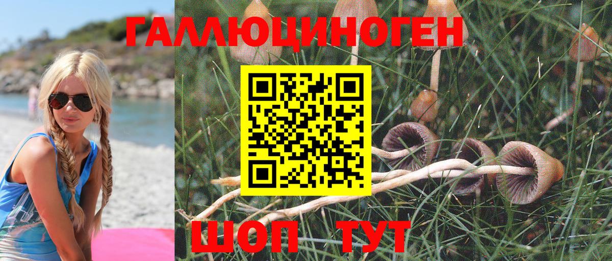 купить   Галлюциногенные грибы Magic Shrooms  Омск  Псилоцибиновые грибы прущие грибы 